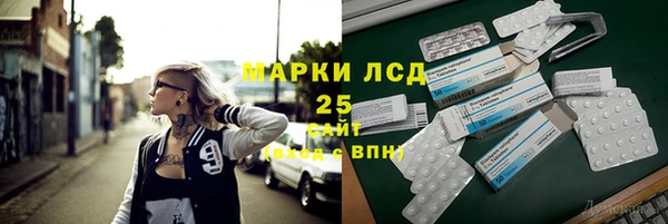 крисы Болотное