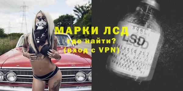 дживик Баксан