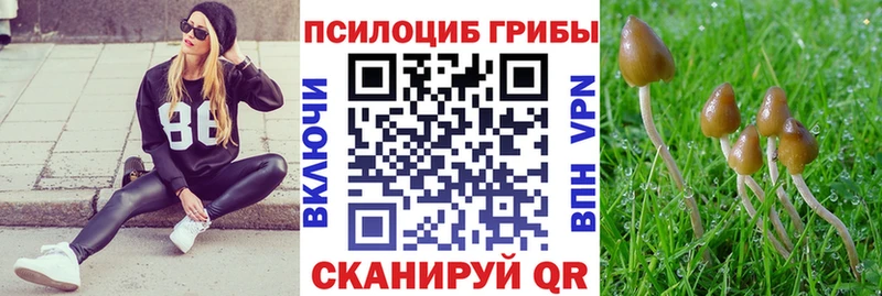 Псилоцибиновые грибы Psilocybe  блэк спрут зеркало  Елабуга 